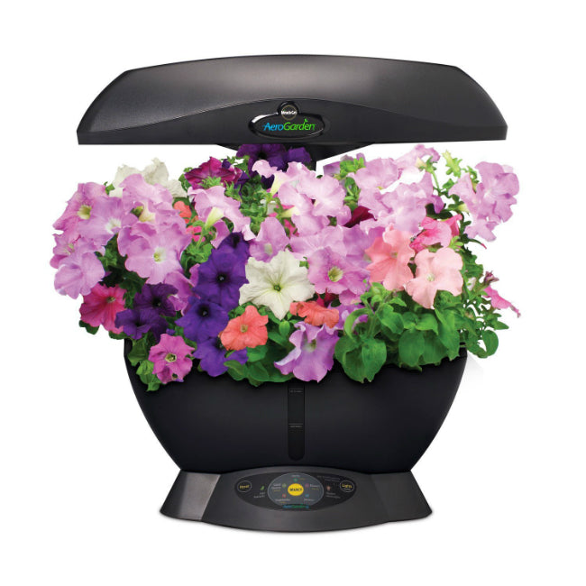 Miracle-Gro® 901011-1200 AeroGarden 6® Soil Free Compact Indoor Garden, Black