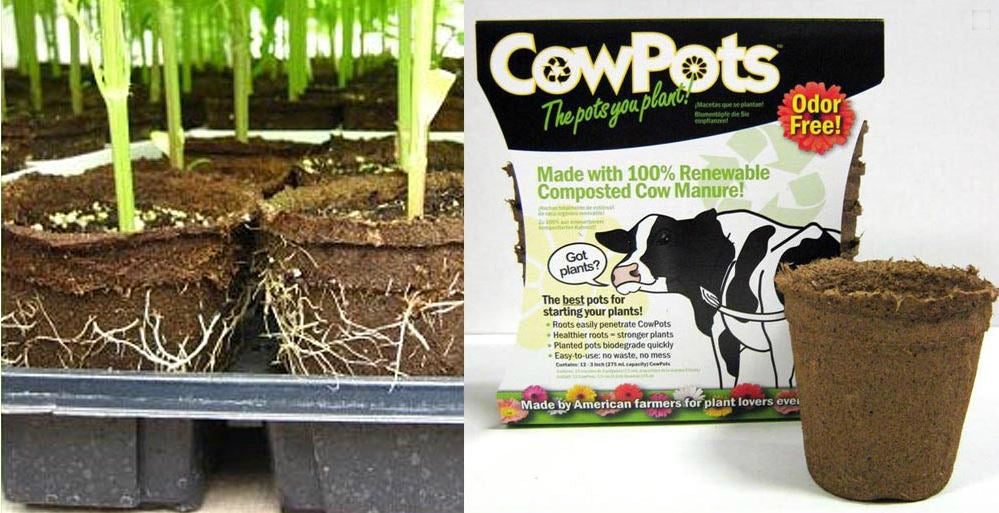 CowPots™ CP-3 RND-12PK-12PKS Biodegradable Plant Pots, Round, 3", 12-Pack