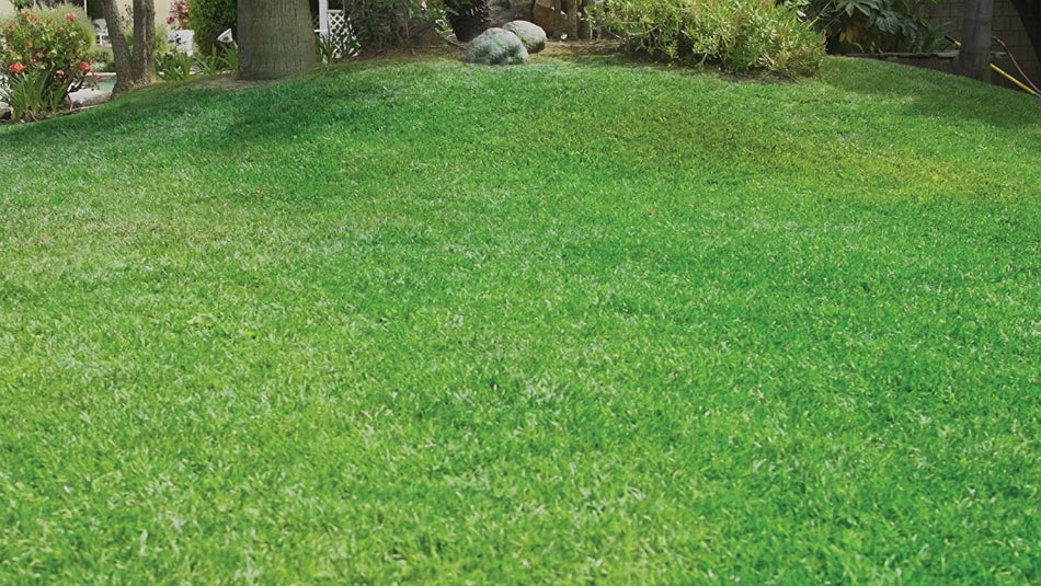 Hydro Mousse 15000-6 Liquid Lawn Fescue Kit with Spray-n-Stay Technology