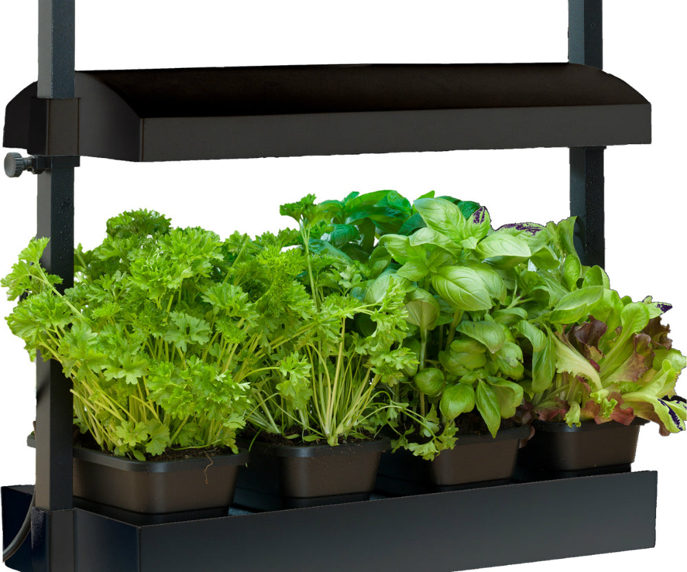 SunBlaster™ SL1600198 Micro Grow Light Garden with 11W Light Bulb, Black, 120V