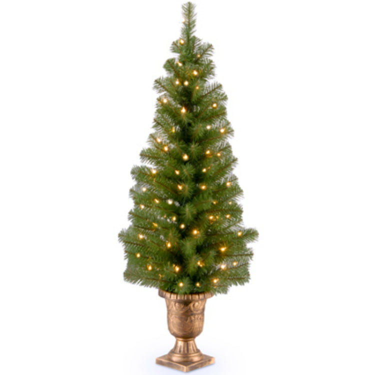 National Tree MC7-344-40 Montclair Spruce Entrance Artificial Tree, 70 Light, 4'