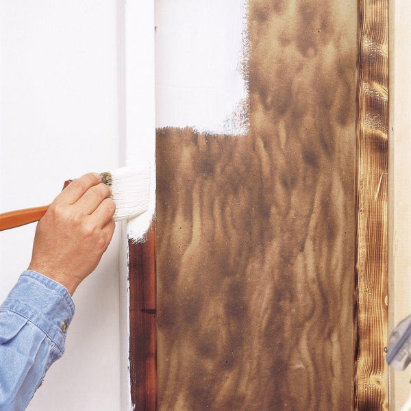 Zinsse 270978 BIN Advanced Synthetic Shellac Primer, White, 5Gallon Toolbox Supply