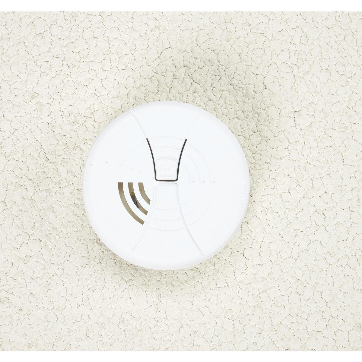 First Alert FG200B FamilyGard Battery-Operated Ionization Smoke Alarm, 9V