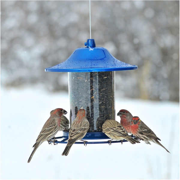 Perky Pet 312b Blue Sparkle Panorama Bird Feeder