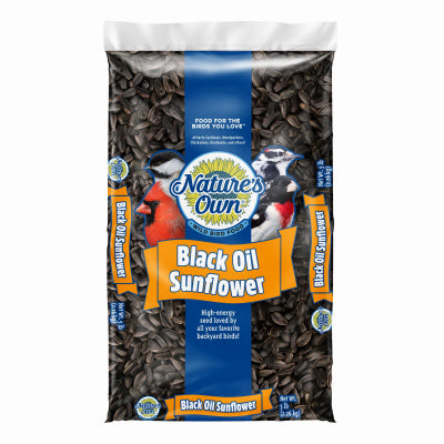 5LB BLK Oil Sun Seed