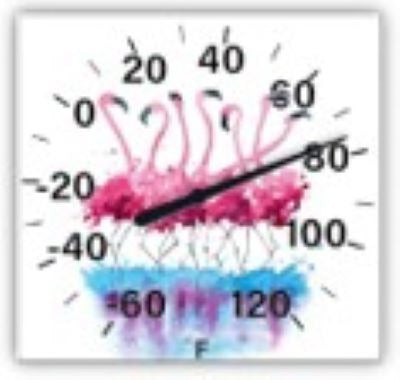 Flamingo Thermometer
