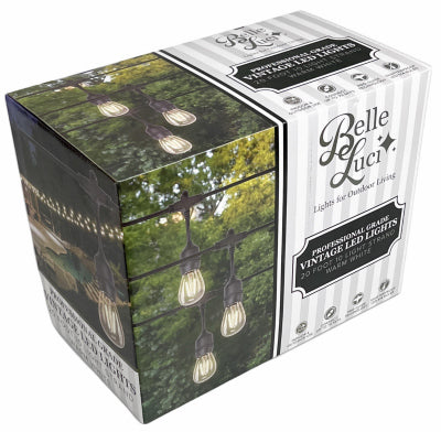 10L LED Vint Light Set