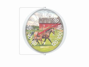5.5" Horse Thermometer