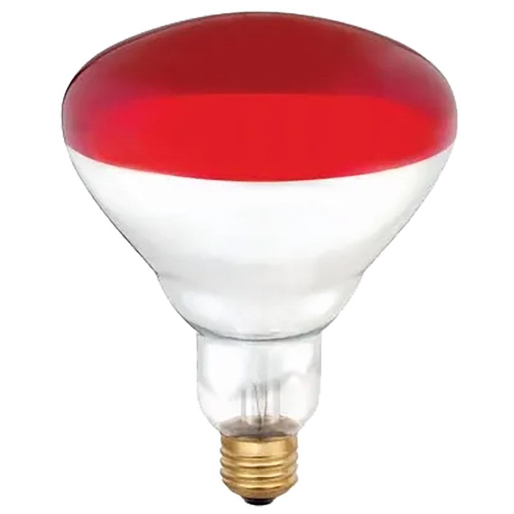 Westinghouse 0394848 R40 Infrared Heat Lamp, Red, 250-Watts