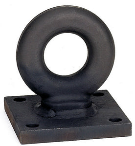 Reese Towpower® 7013700 Lunette Eye Ring, 2-1/2" Diameter, 4" Hole
