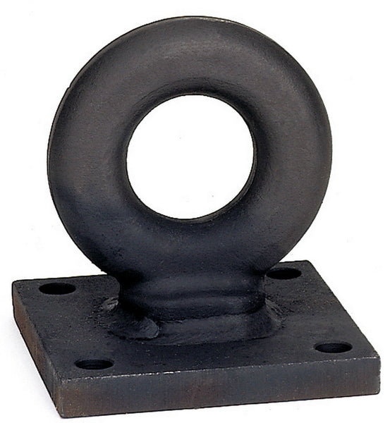 Reese Towpower® 7013700 Lunette Eye Ring, 2-1/2" Diameter, 4" Hole