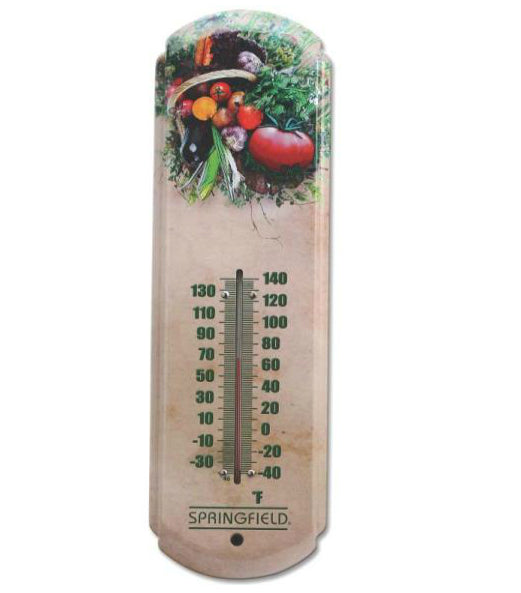Taylor 98128 Thermometer Tomato, 17"