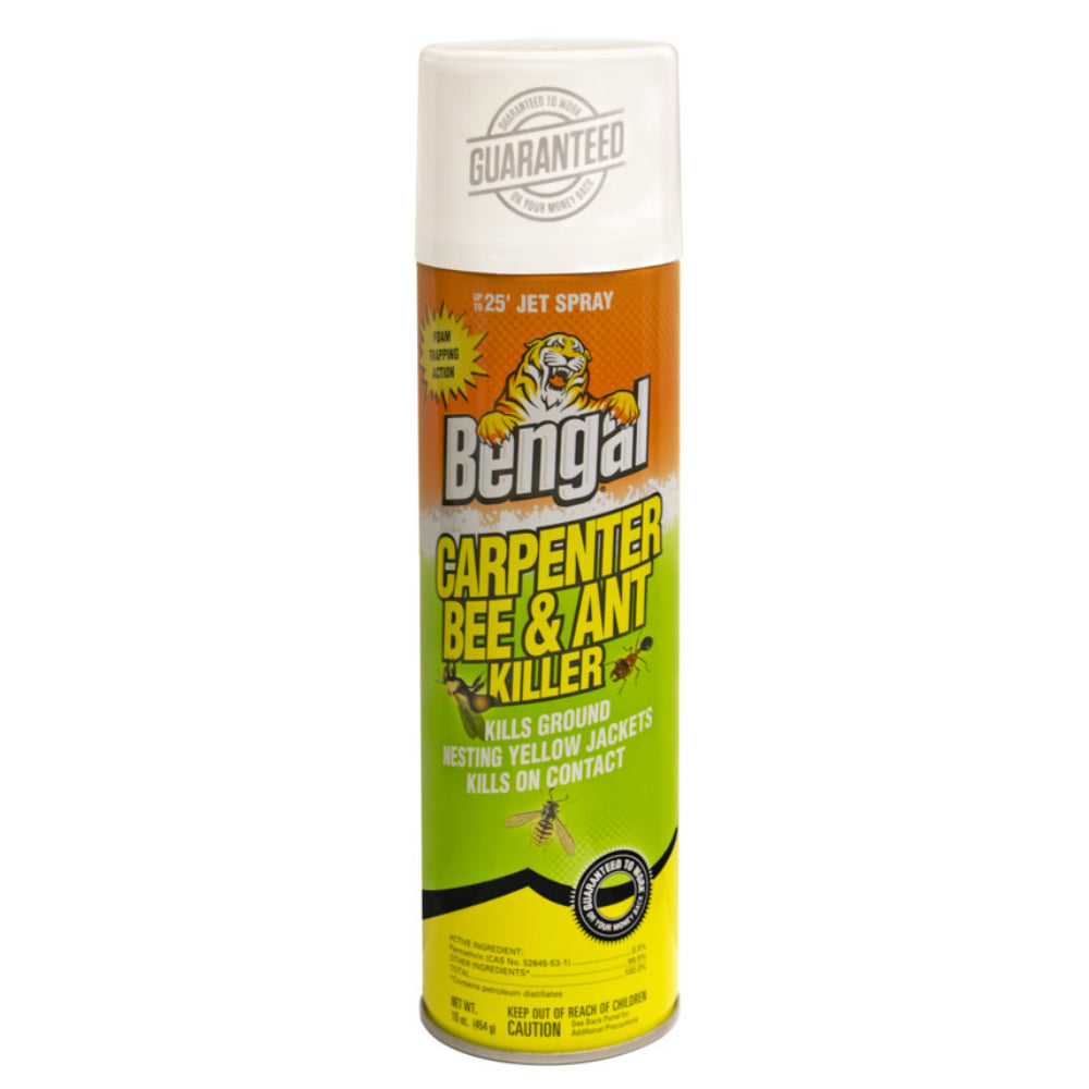 Bengal 97199 Carpenter Bee & Ant Killer, 16 Oz