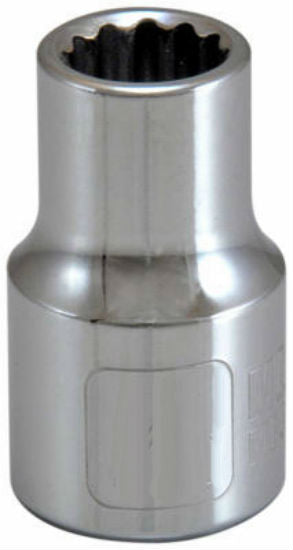 Master Mechanic 105346 12-Point Socket, 1/2" Drive, 7/16"