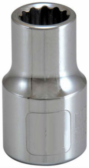 Master Mechanic 105353 12-Point Socket, 1/2" Drive, 1/2"