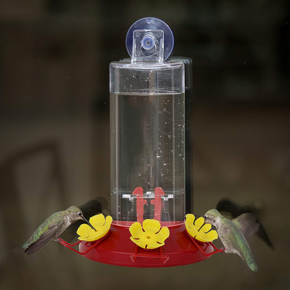 Perky-Pet 217 Window Mount Plastic Hummingbird Bird Feeder, 8 Oz Nectar Capacity