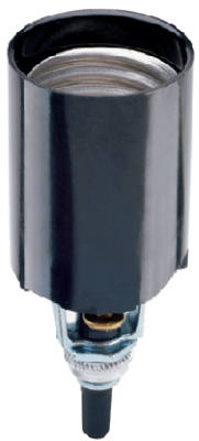 Pass & Seymour Candelabra Base Lampholder, 660W, 250V