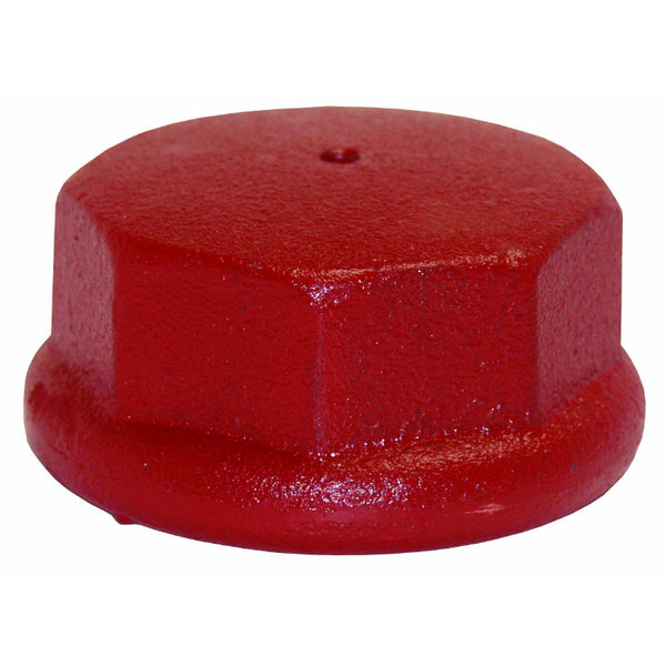 Water Source™ DC200 Cast Iron Drive Cap, 2"