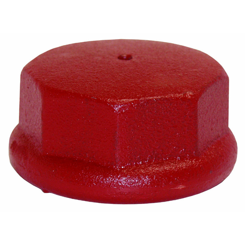 Water Source™ DC125 Cast Iron Drive Cap, 1-1/4"