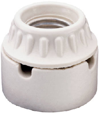 Pass & Seymour Medium Base Porcelain Lampholder, 660W, 250V