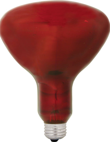 GE Lighting 37771 Reflector Incandescent R40 Heat Lamp, 250W, Red