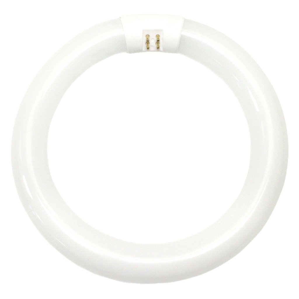 GE 33774 Garage & Basement T9 Circline Fluorescent Bulb, Cool White, 8", 22W