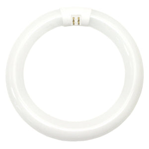 GE 33774 Garage & Basement T9 Circline Fluorescent Bulb, Cool White, 8", 22W