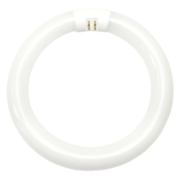 GE 33774 Garage & Basement T9 Circline Fluorescent Bulb, Cool White, 8", 22W
