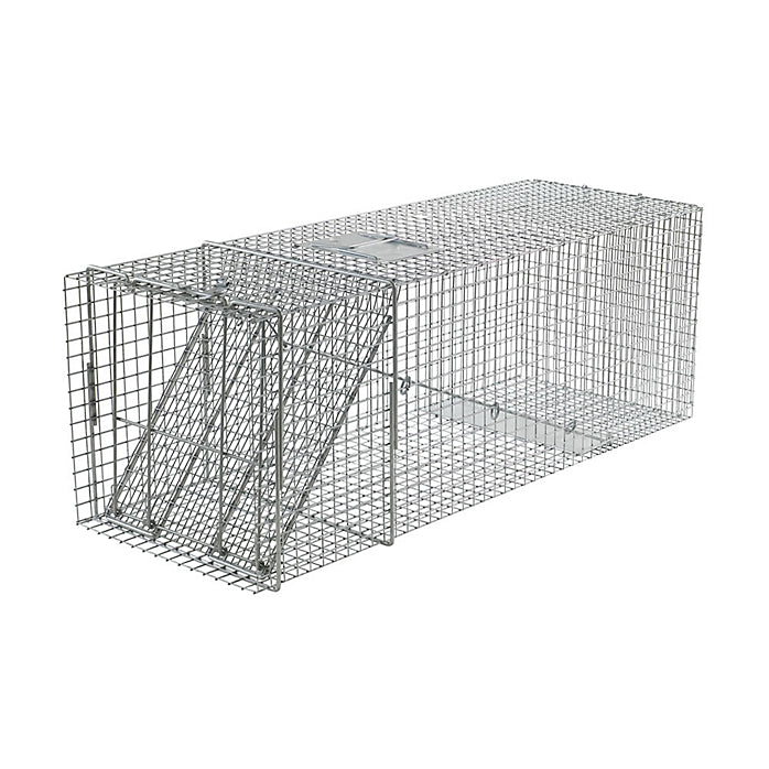 Havahart Large 1-Door Professional Live Animal Cage Trap for Raccoon,  Opossum, Groundhog, and Feral Cat 1079 - The Home Depot