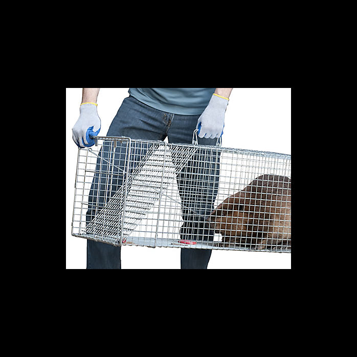Havahart® 1081 Pro Live Animal 1-Door Raccoon Cage Trap, X-Large, 42"x15"x15"