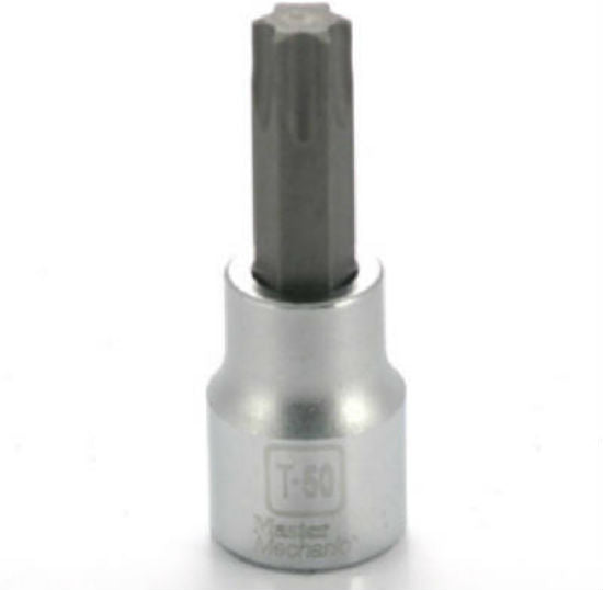Master Mechanic 264432 T-50 Torx Bit Socket, 3/8" Drive