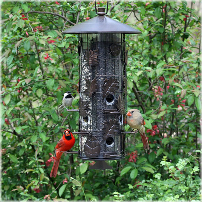 Perky-Pet® 337 Squirrel-Be-Gone® III Seed Wild Bird Feeder, 8 Lbs Capacity
