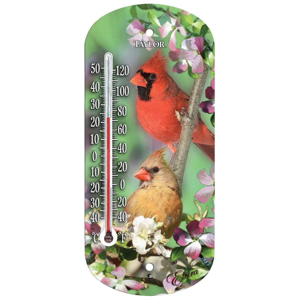 Taylor 5204 Cardinal Decorative Window View Tube Thermometer, -40 to 120 deg F