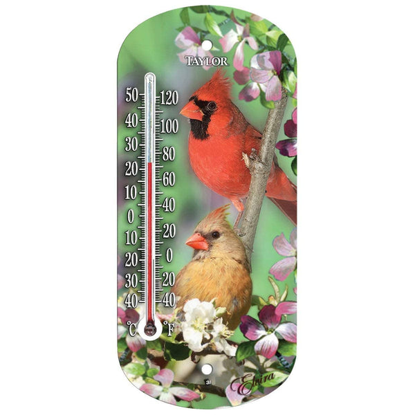 Taylor 5204 Cardinal Decorative Window View Tube Thermometer, -40 to 120 deg F