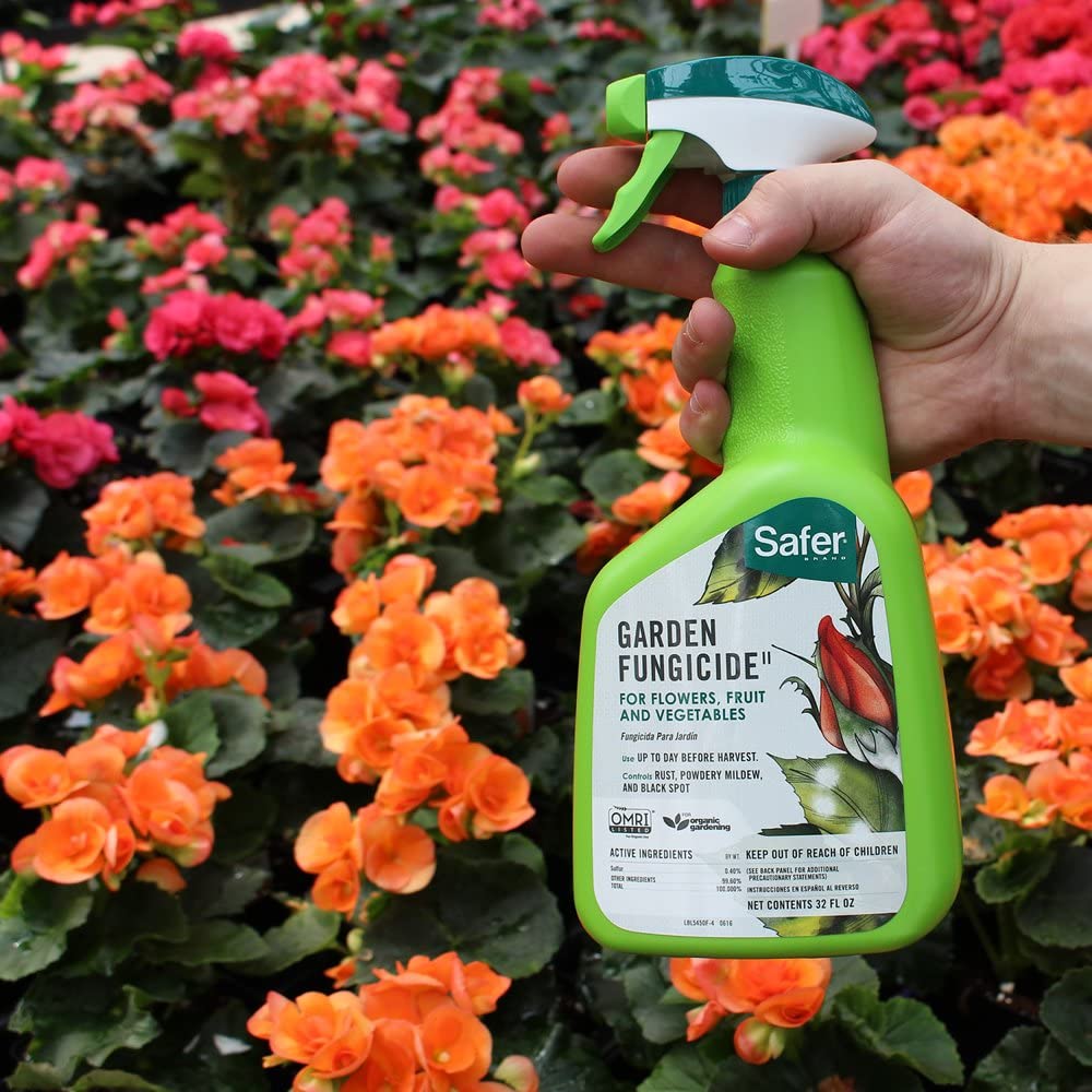 Safer 5450 Multi-Purpose Garden Fungicide, Ready to Use, 32 Oz