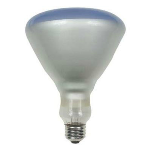 GE Lighting 21000 Medium Base BR40 Reflector Plant Floodlight Bulb, 120W, 120V