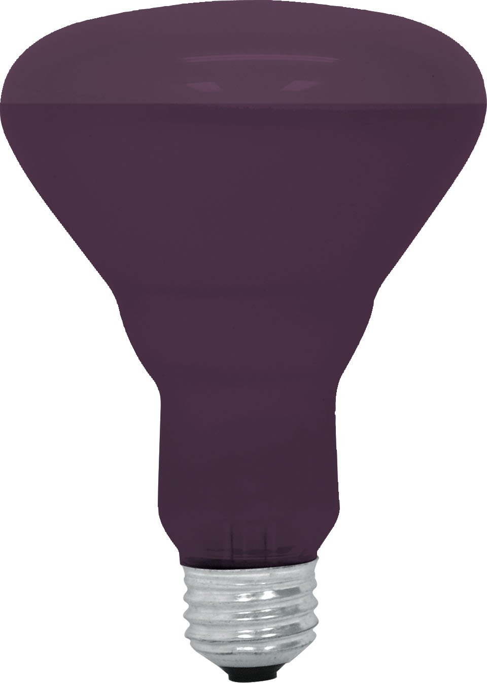 GE Lighting 22748 Black Light Indoor R30 Floodlight Reflector Bulb, 75W, 120V