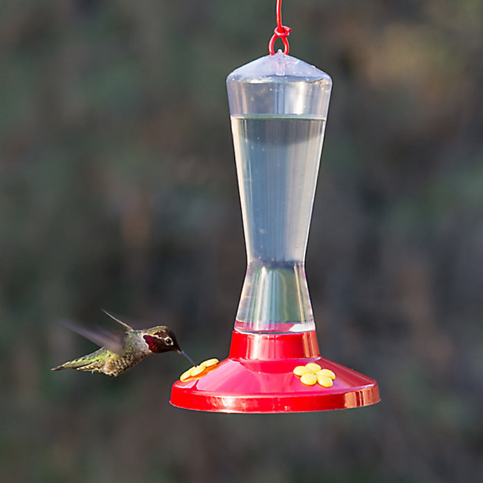 Perky-Pet® 211 Clear Plastic Hummingbird Bird Feeder, 8 Oz Nectar Capacity