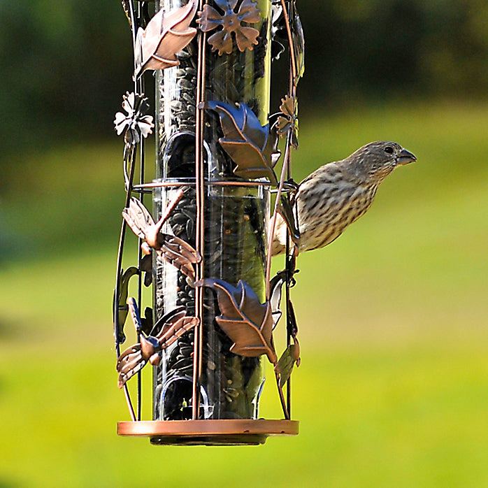 Perky-Pet® 550 Birdscapes® Squirrel Resistant Wild Bird Feeder, 1 Lbs Capacity