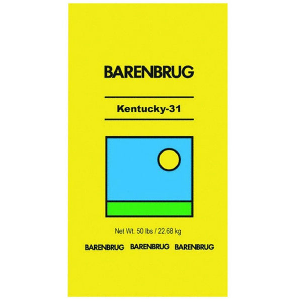 Barenbrug 491145 Kentucky-31 Tall Fescue Grass Seed, 50 Lbs
