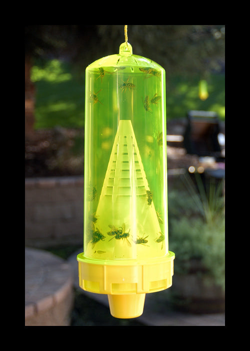 Rescue!® YJTR-DT12 Reusable Yellowjacket Trap