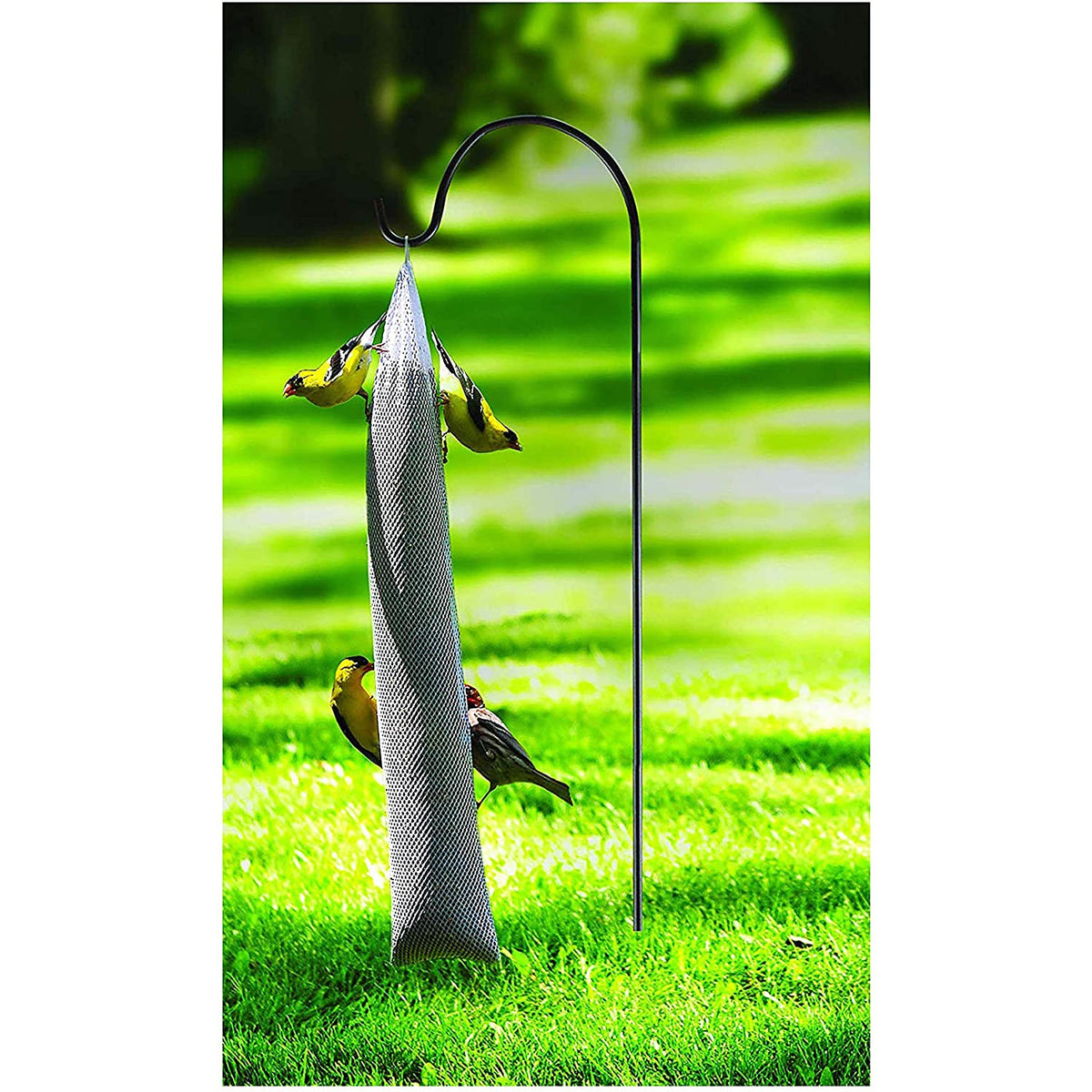 Kaytee 100061954 Finch Sock Wild Bird Instant Feeder, Nyjer Seed, 26 Oz