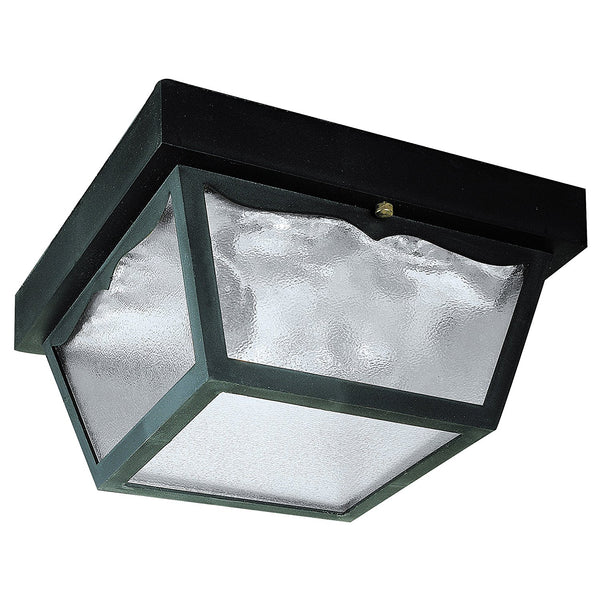 Westinghouse 66823 Two-Light Flush-Mount Outdoor Fixture w/ Glass Panel, Black