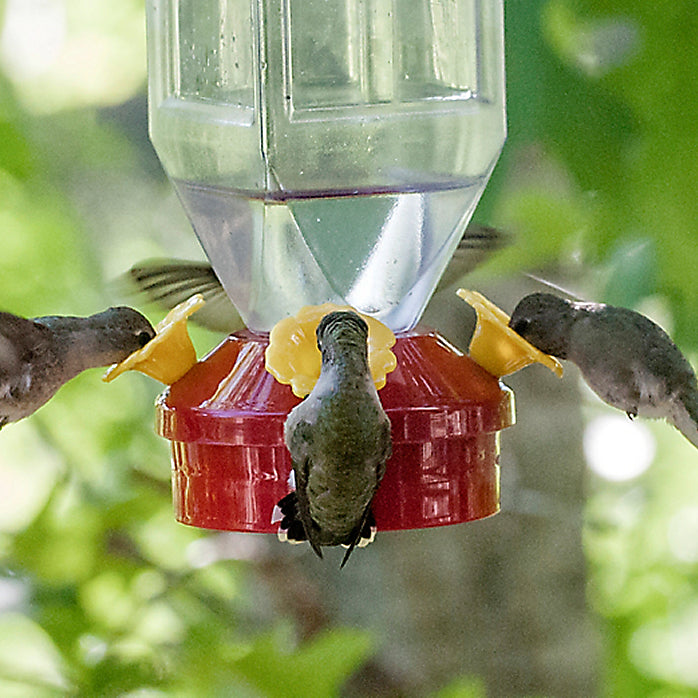 Perky-Pet® 201 Garden Song® Lantern Hummingbird Bird Feeder, 18 Oz Capacity