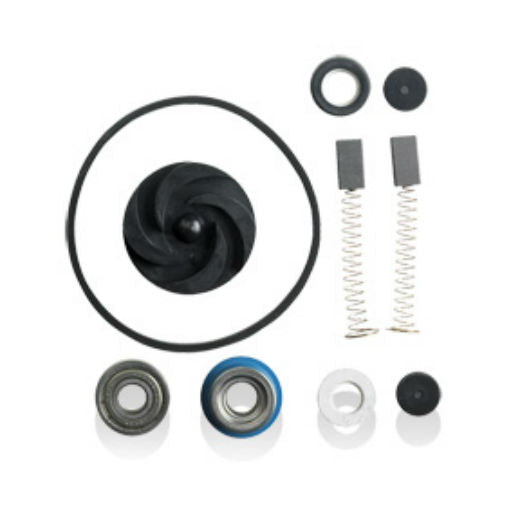 Wayne® 56399 Pump Repair Kit, PC4