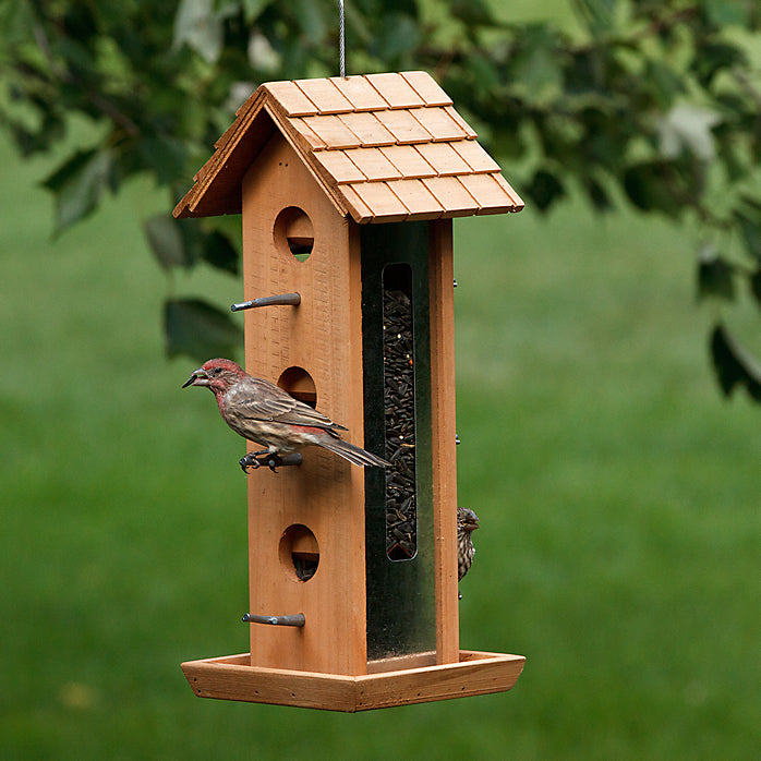 Perky-Pet® 50171 Tin Jay Twig Style Wood Bird Feeder, 2 lbs Seed Capacity