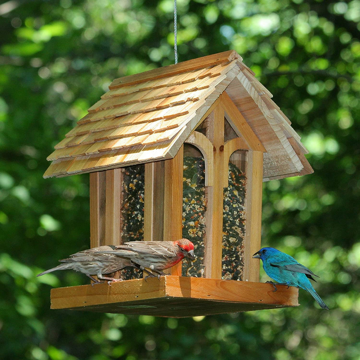 Perky-Pet 50172 Mountain Chapel Wild Bird Seed Feeder, Fir Wood, 3.5 Lb Capacity