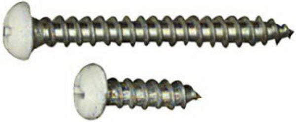 National Hardware® N218-990 Bracket Screw, White, 12-Pack