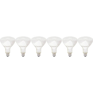 GE 24998 ProLine™ Reflector R40 Floodlight Bulb, 65W, 130V, 6-Pack