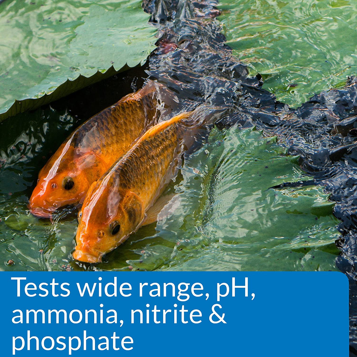 API 164M PondCare Master Liquid Test Kit
